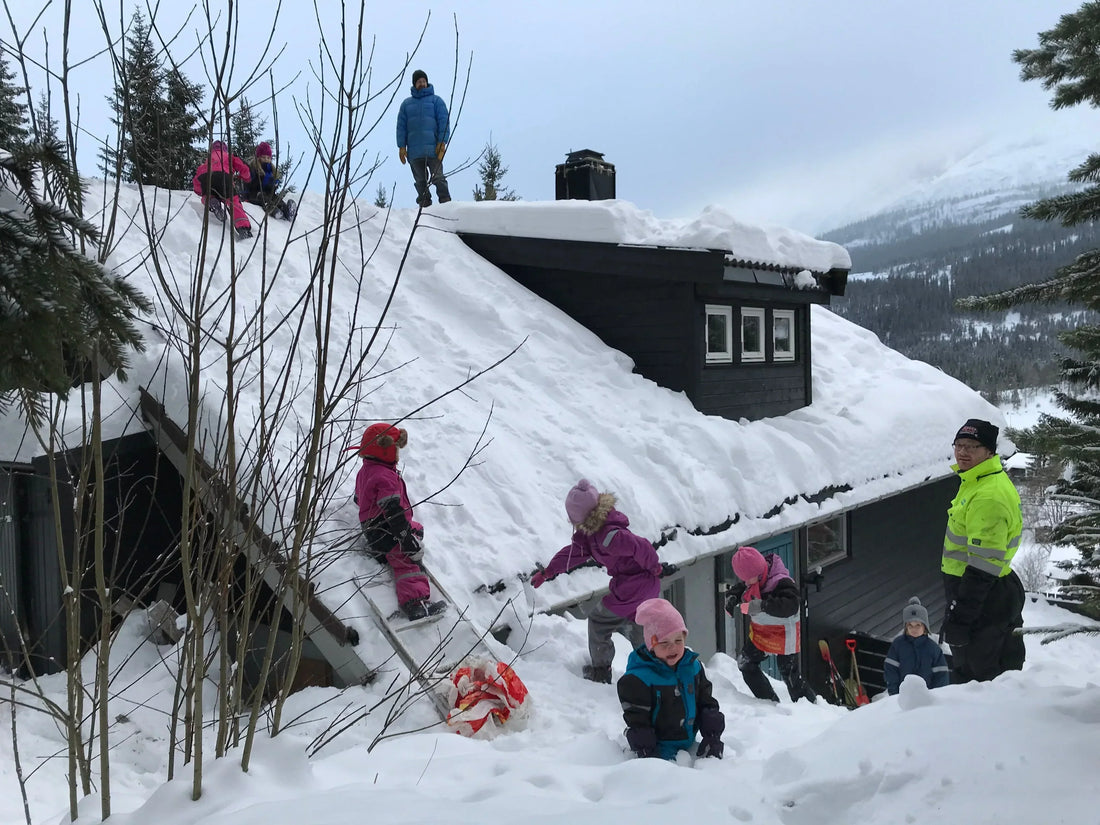 Blog: Family Outdoor Activities for Every Season: From Rooftop Sledding to Berry Picking